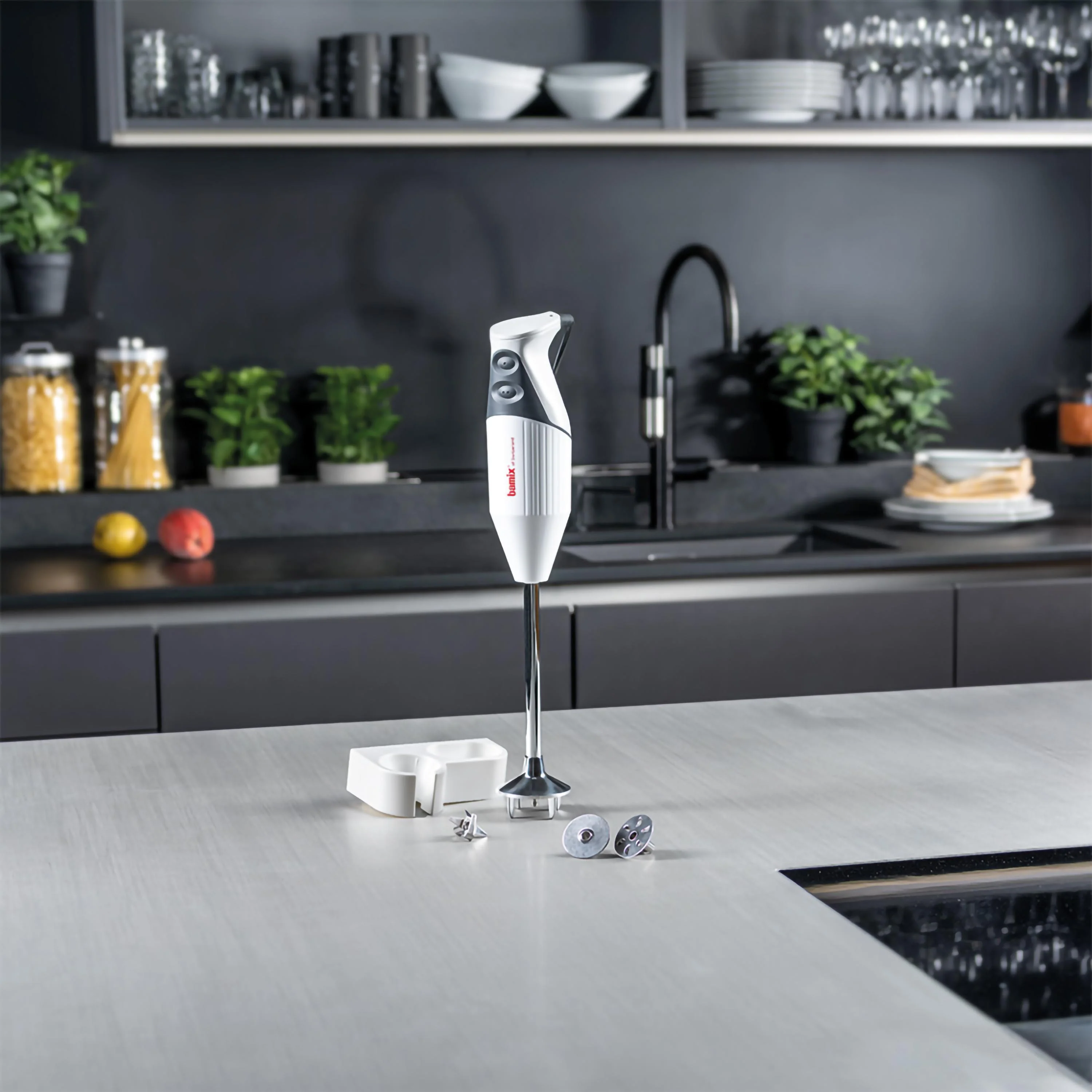 Bamix Gastro 200 Stabmixer