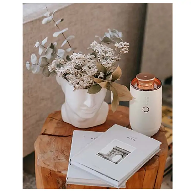 Lux Essenzapura elektrischer Lufterfrischer weiß und gold