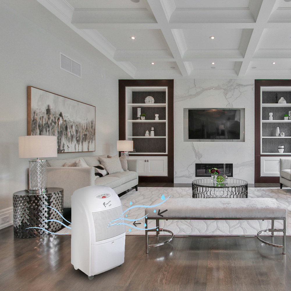 Neuer Flipperdry 300 White Luftentfeuchter