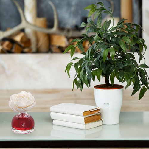 Raumerfrischer mit Orchideenblüte 100 ml Divine Red