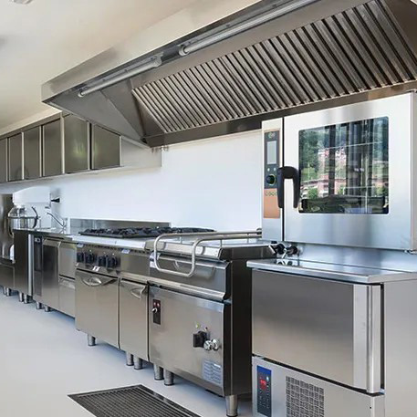 ProActive Oven & Grill Entkalkungsmittel für Backöfen und Grills, 750 ml