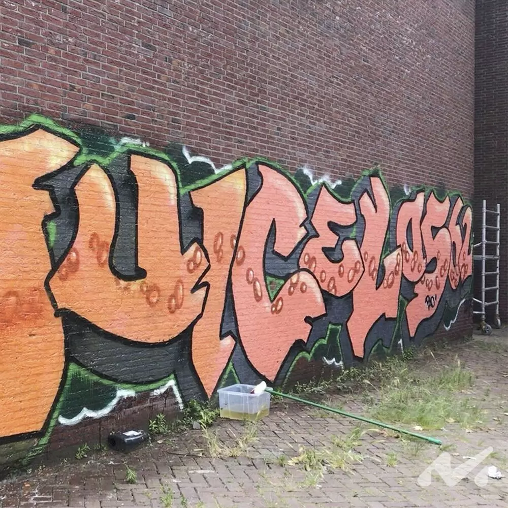NO GRAF GEL - Gel zur Entfernung von Graffiti