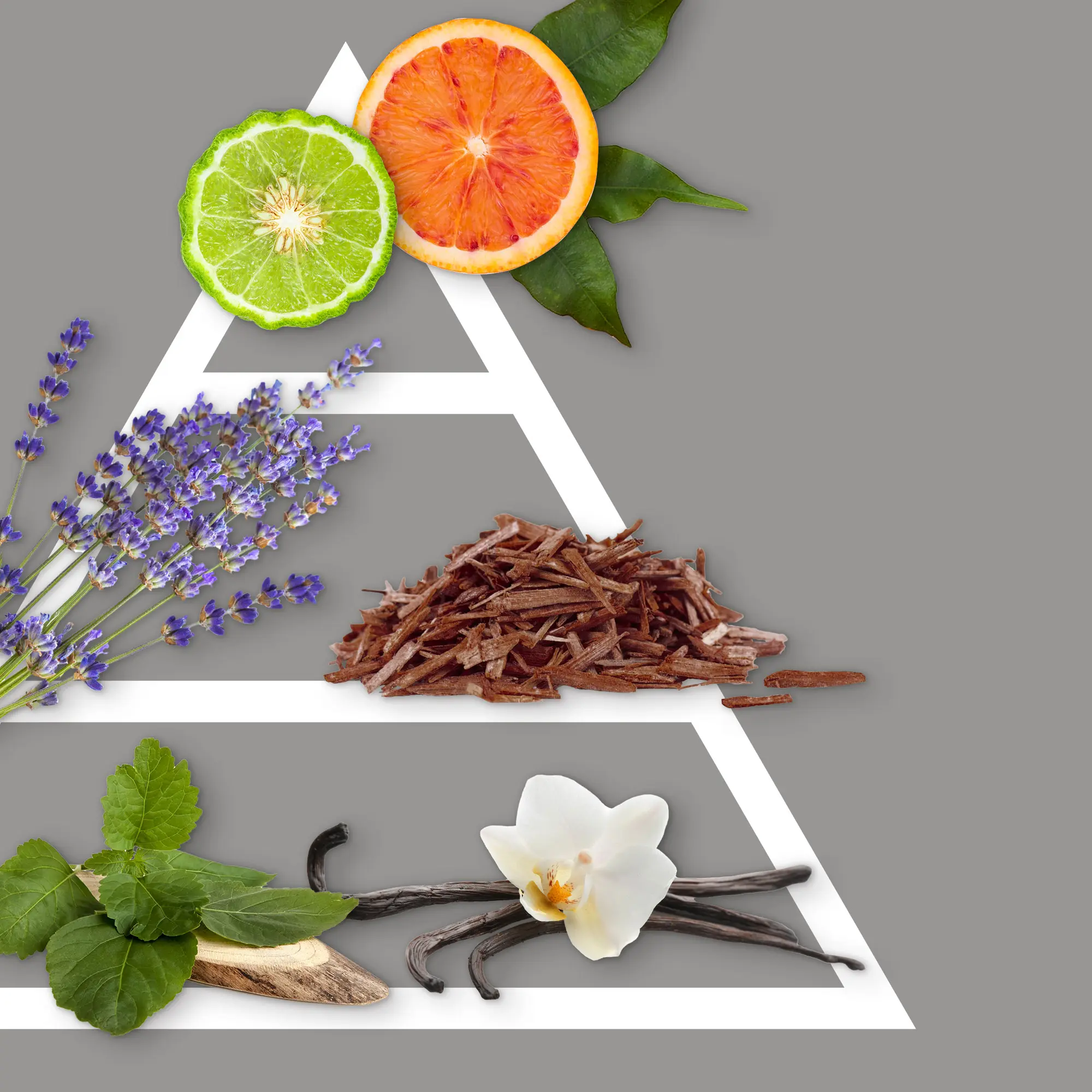 Lufterfrischer mit Blüte 100 ml Noble Sandal